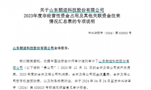朗进科技4.15亿资金占用及信披违规被罚 审计机构事发前一年仍在引用03年标准